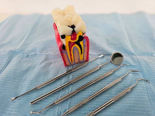 istock Dental model with tools on blue cloth highlighting oral health 2231513468