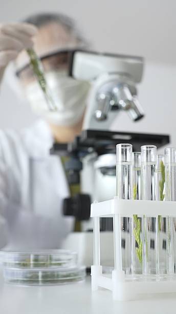 istock Close up of test tubes with a scientist analyzing plant samples in test tubes with a microscope, conducting research in a laboratory. Medicine, healthcare and science concept 2231516435