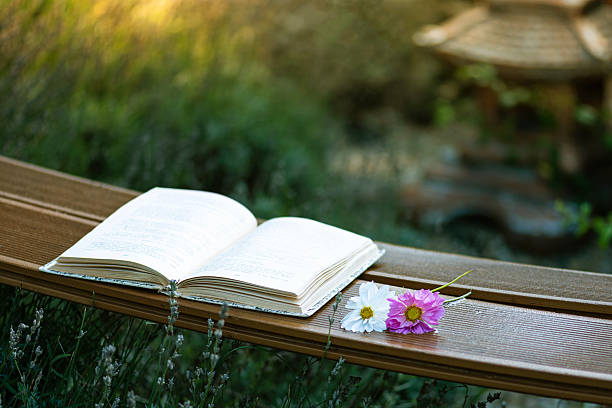 Open book with daisies on a wooden bench in a peaceful garden, symbolizing relaxation, reading, and inspiration.