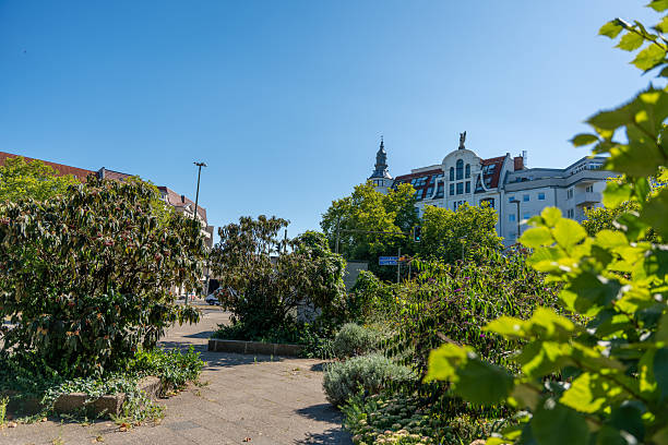 istock Green square with bushes and plants in the foreground. 2231530382