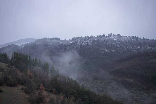 Snow-dusted mountaintops overlook a forested slope as mist rises through the hills. Pockets of evergreen trees and leafless shrubs hint at the changing season beneath a pale sky.