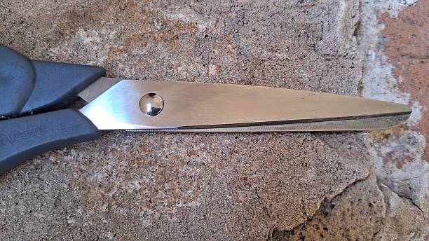 Top view unrecognizable man holding a vintage scissors. Work tool for leather on hairy cow skin background.