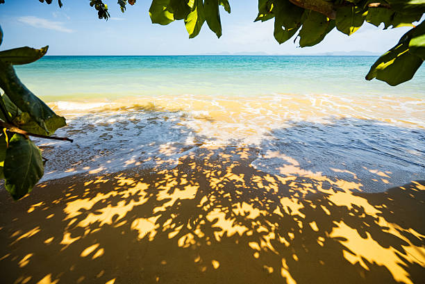 Tropical Beach Shore with Leaf Shadows and Waves, Thailand, Krabi