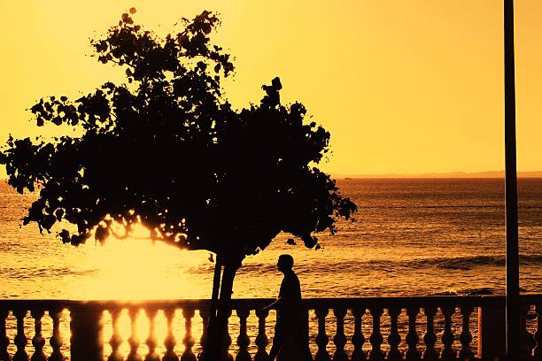 idyllic tropical landscape with sea and sunset