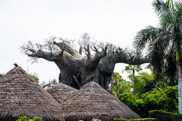Majestic tree embracing nature's beauty against lush tropical backdrop.