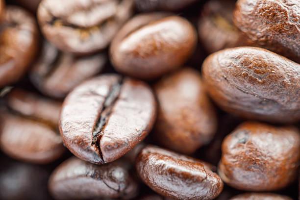 coffee beans close up macro photo