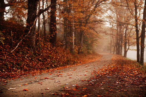 istock new england autumn 2231549690