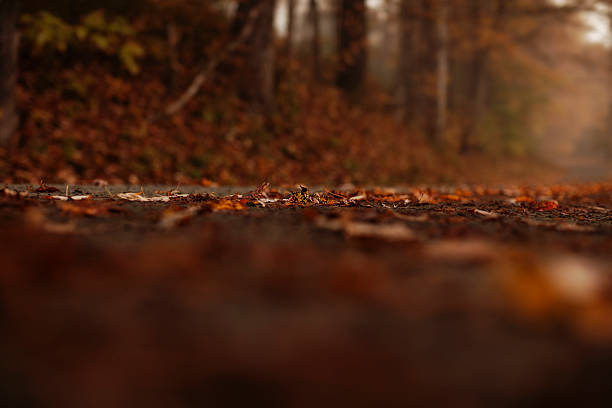new england autumn