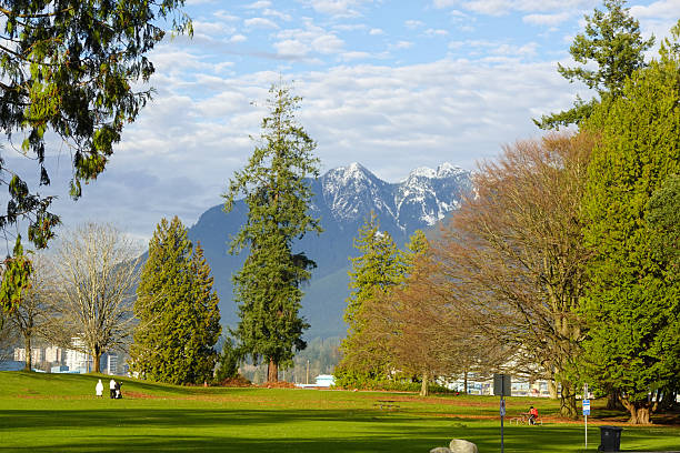 A foreground of lawn and tall evergreens opens toward snowy North Shore peaks, giving the scene depth and scale. A small putting green sits bright in the middle distance. The light is even and cool, which preserves detail in trunks, branches, and distant slopes. The composition invites the eye to travel from near to far, offering a classic Stanley Park perspective.