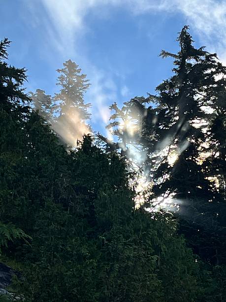 North Cascades National Park, Washington