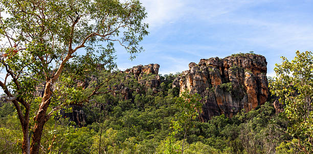 istock Arnhem Land in Northern Territory, Australia 2231565477