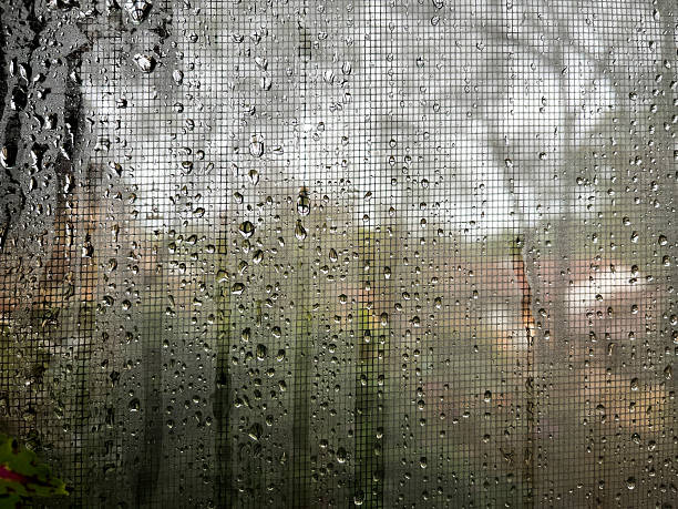 Nature in the window shape frame as a picture.