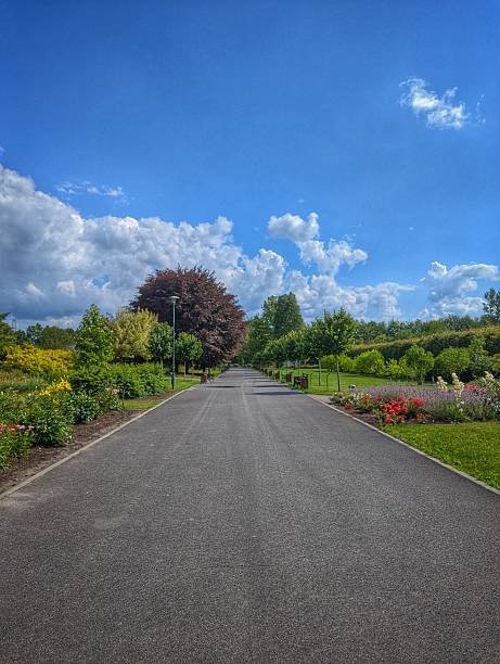 istock Warsaw Botanical Garden Pathway (PAN Ogród Botaniczny w Powsinie) 2231566299