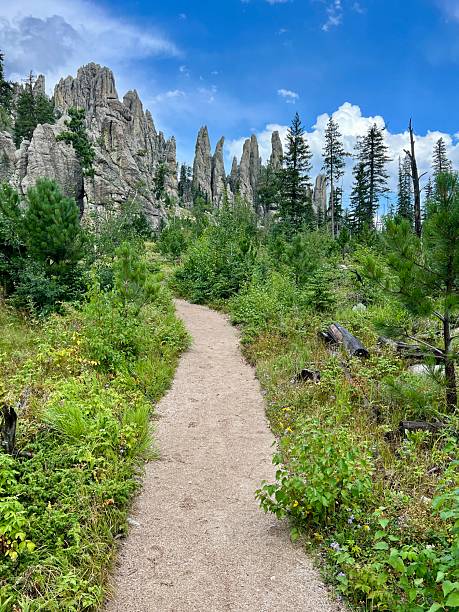 istock Mountain Hiking Trail 2231566781