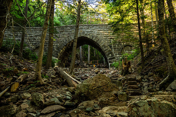 Rocks and Broken Trees Below Hemlock Bridge In Acadia National Park