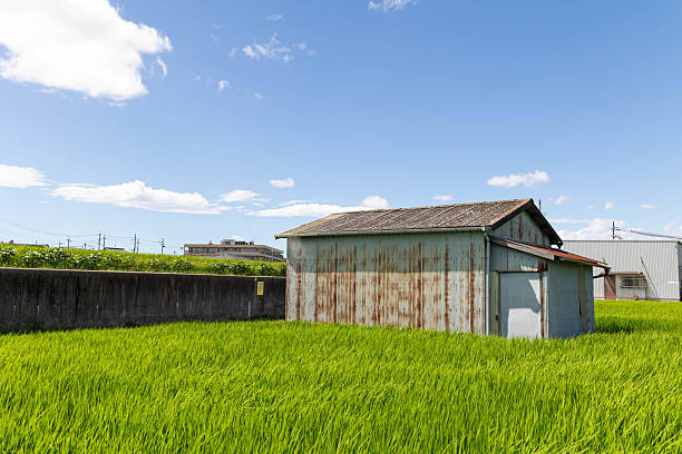 istock Rural landscape with a hut on a sunny day 2231572203