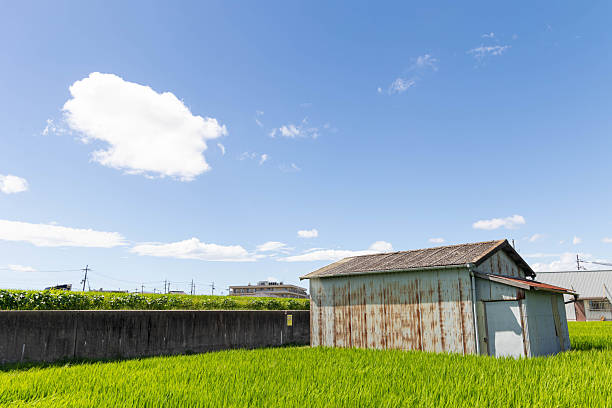 istock Rural landscape with a hut on a sunny day 2231572264