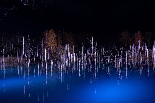 It is a blue pond in Biei, Hokkaido, Japan. In the winter season, the surface of the lake is covered with snow and is lit up.