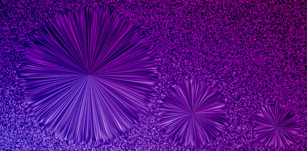 istock Three abstract flowers background rough texture noise grain gradient pink purple neon color illustration design wallpaper backdrop web header element book cover 2231584482