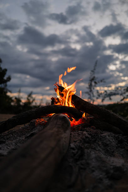 istock Niassa reserve in Mozambique fire place 2231586390