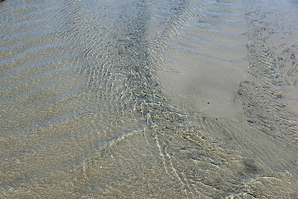 istock Small water waves with repetitive, symmetrical patterns in an outflowing tidal flat in the mudflats of the North Sea on the island of Föhr 2231595572