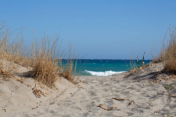 istock Sandy path leading to the wavy sea through beach grass on sunny day 2231597618