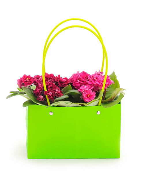 istock Violets beautiful flowers in basket. 2231602733