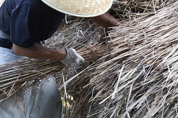 A craftsman repairing a thatched roof