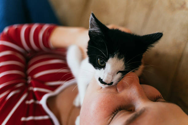 istock Close view of playful black and white kitten touching young womans face while lying on sofa, symbolizing affection and bonding. 2231603541