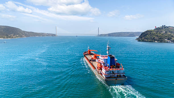 istock Aerial view of Cargo Container ship passing under Bridge. 2231604034