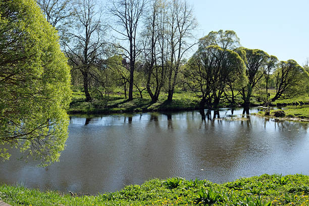 istock Tranquil riverbank with lush trees reflecting in clear water on a sunny day in spring 2231604254