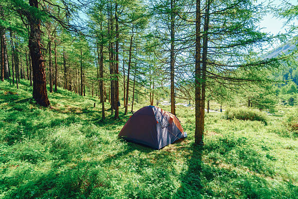 camping tent in the forest