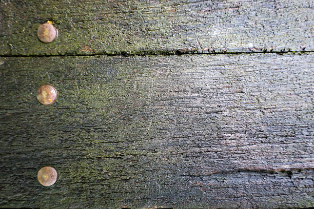 A wooden surface covered with moss and signs of age, featuring three rusty metal nails that create an interesting texture. This close-up shot captures the details of aging and wear. An excellent background for various creative projects.