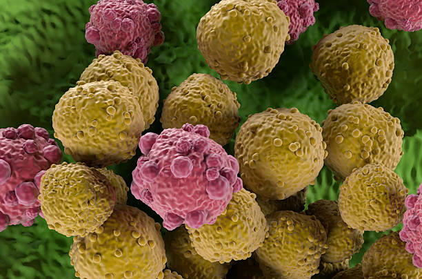 istock Lymphoma cells - isometric view 3d illustration 2231613005