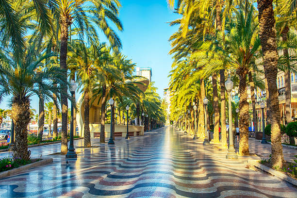 istock Explanada de Espana in Alicante, Spain 2231613104
