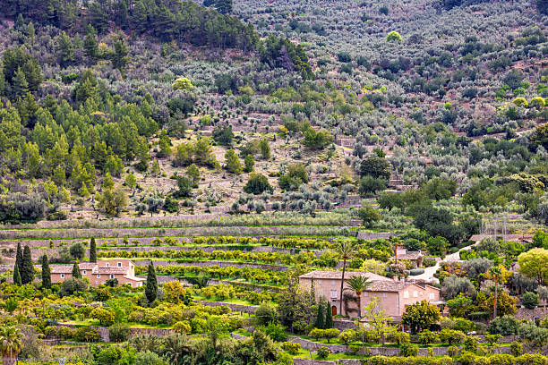 Photos of the Idyllic old village of Valldemossa in the Serra de Tramuntana mountains on Mallorca, Spain Balearic islands.