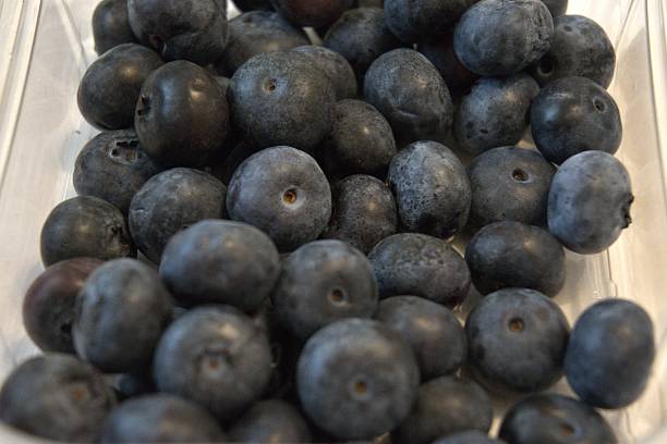 istock Fresh blueberries in transparent plastic container, close-up 2231617411