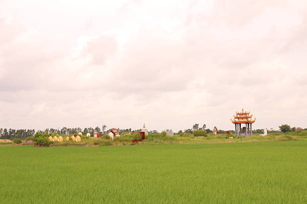 Village in rural Vietnam