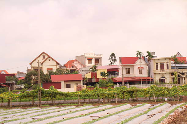 istock Village in rural Vietnam 2231620987