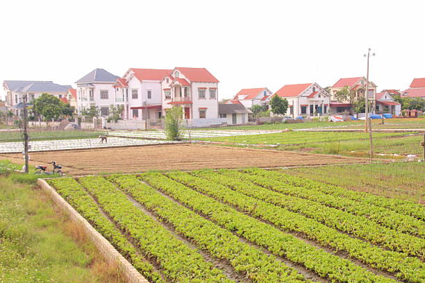 istock Village in rural Vietnam 2231622110