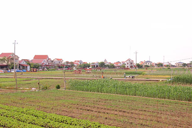 Village in rural Vietnam