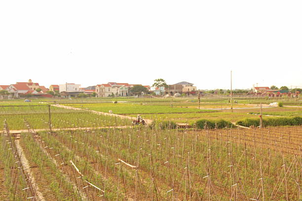 Village in rural Vietnam