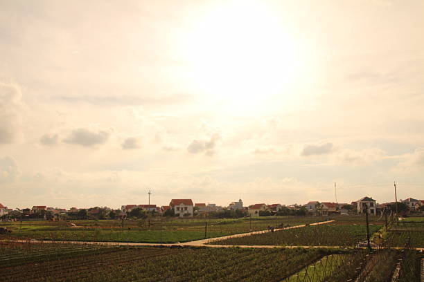 Village in rural Vietnam