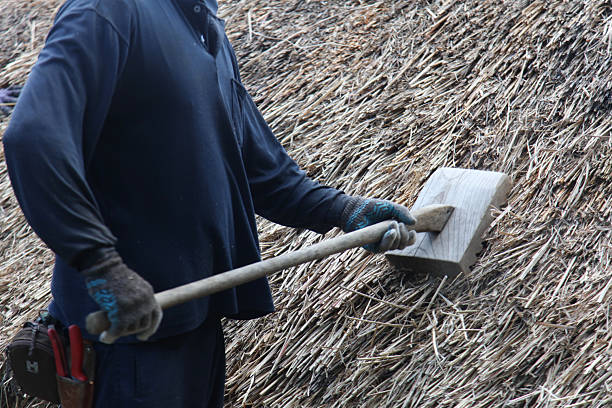 A craftsman repairing a thatched roof