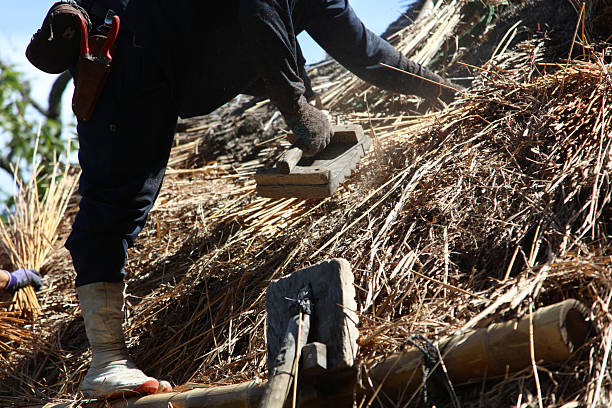 A craftsman repairing a thatched roof