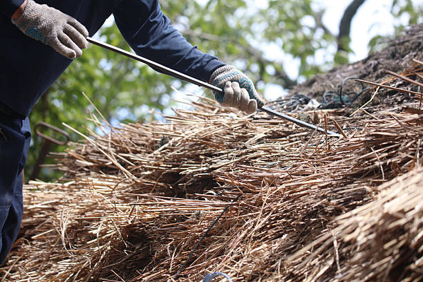 istock Craftsmen building scaffolding on a thatched roof 2231623869