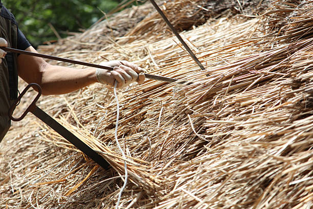 Cheerful white-bearded farmer in front of straw bales in an agricultural field. He is wearing green overalls and a checkered shirt. He has a knitted straw hat on his head. He looks petite against the pile of bales.