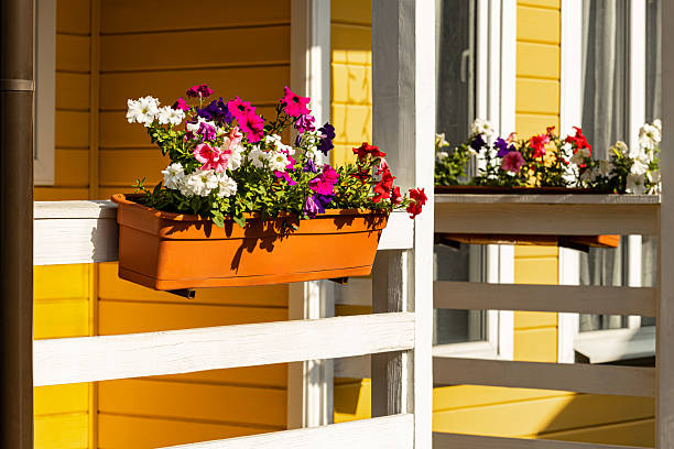 istock flowerpot pendant with multi-colored petunias, close-up. 2231625702