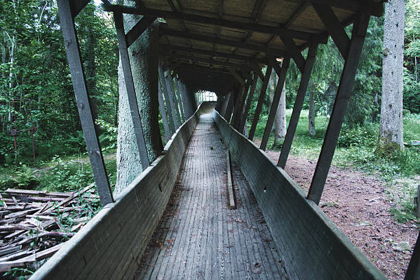 Atmospheric view of the abandoned Sigulda bobsleigh track in Latvia, surrounded by forest, symbolizing history, decay, and forgotten sports heritage.