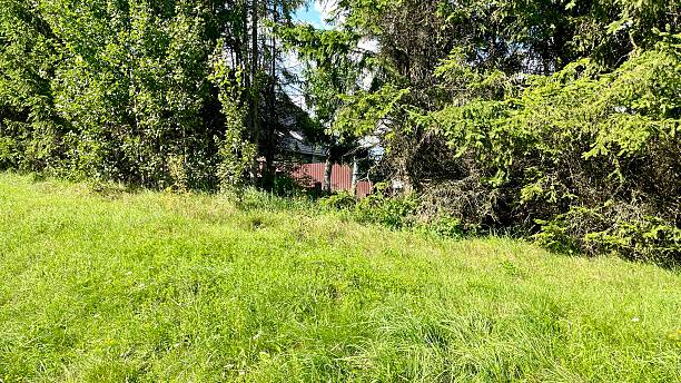 istock Grassy meadow with dense trees and glimpse of a building 2231628857